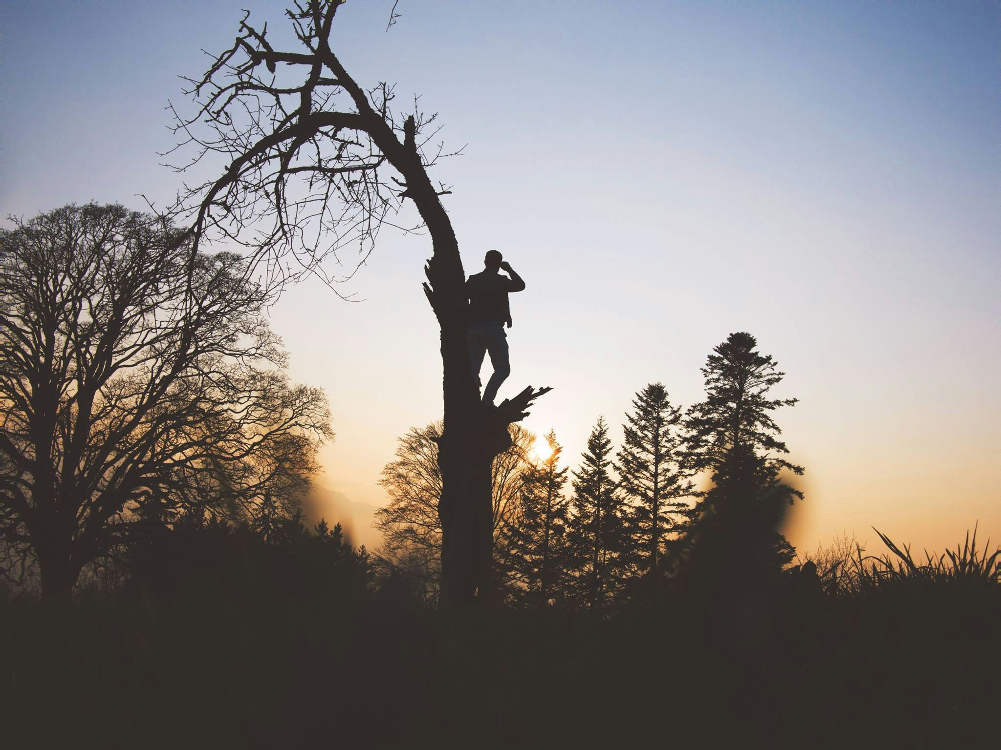 silhouette photography of person standing on leafless tree